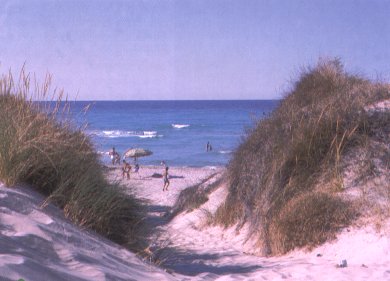 Dune